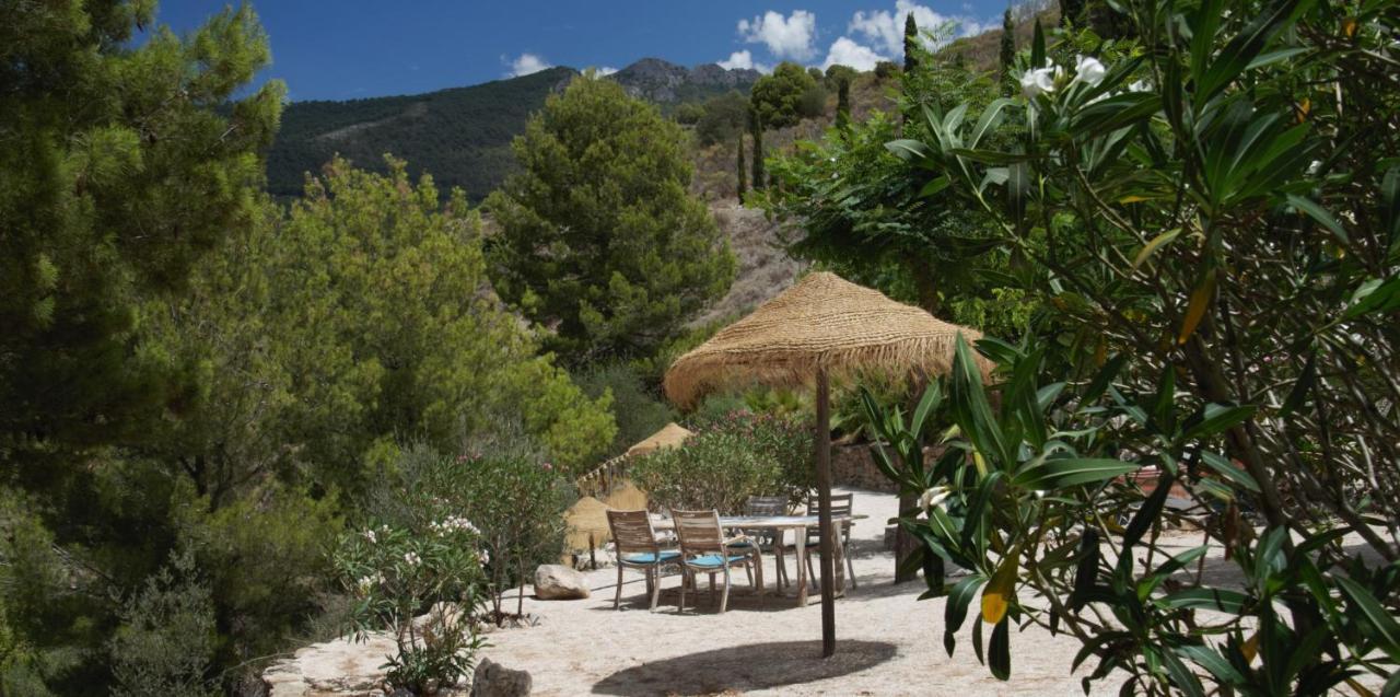 Boutique B&B El Refugio Alcaucín Eksteriør billede